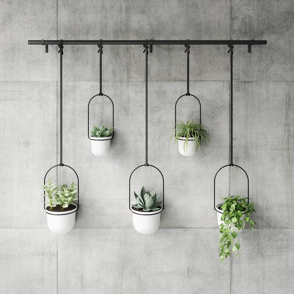 Umbra Triflora 5 kpl roikkuva kukkateline valkoinen/musta