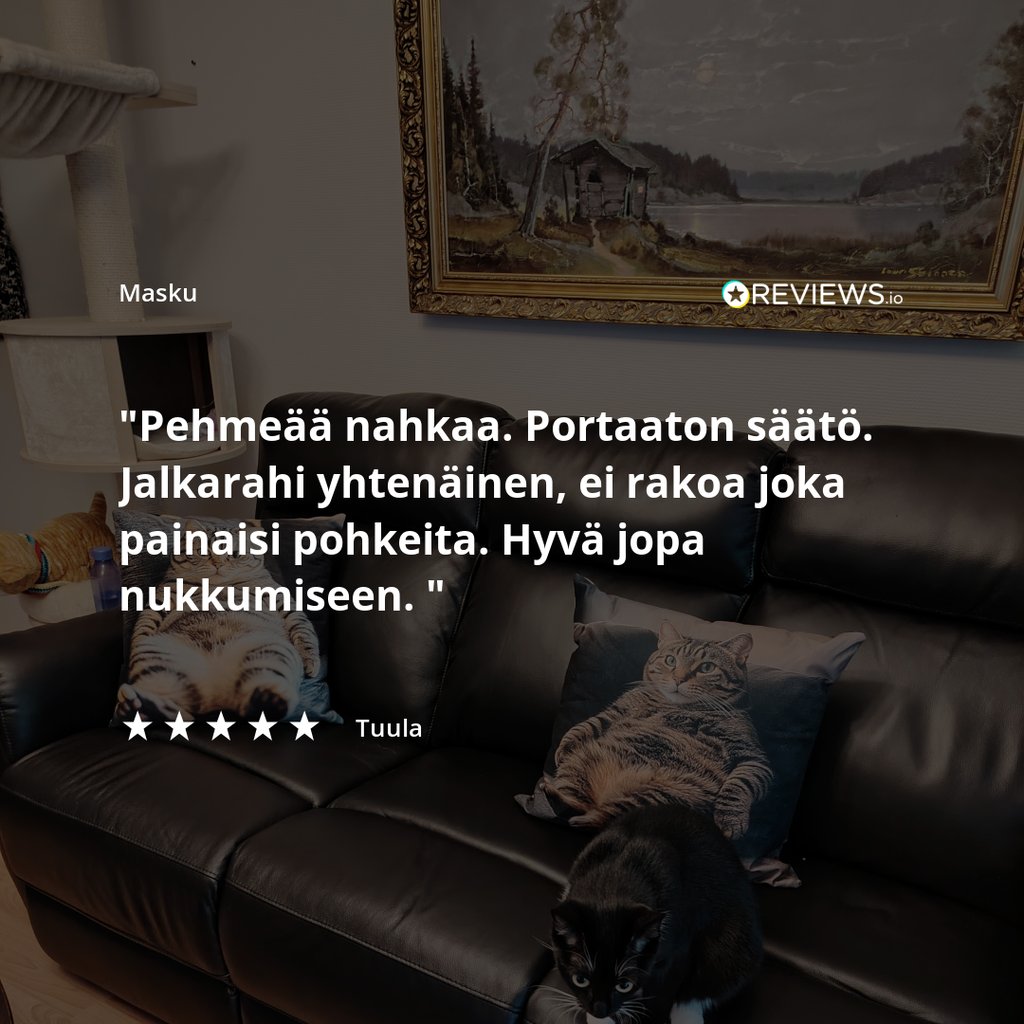 Loungea Colorado 2-istuttava sohva mekanismilla, ruskea nahka/kn
