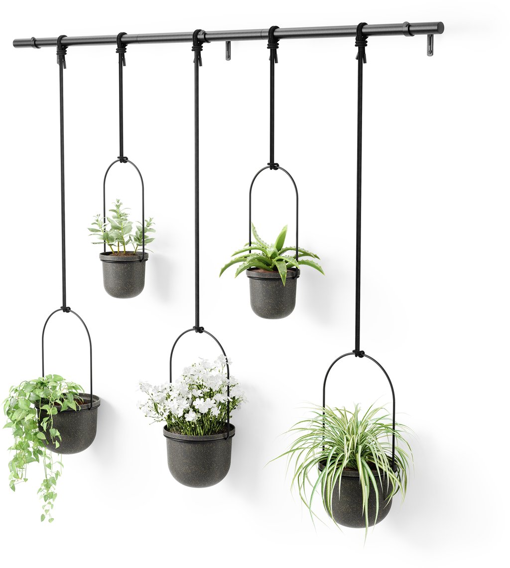 Umbra Triflora 5 kpl roikkuva kukkateline musta