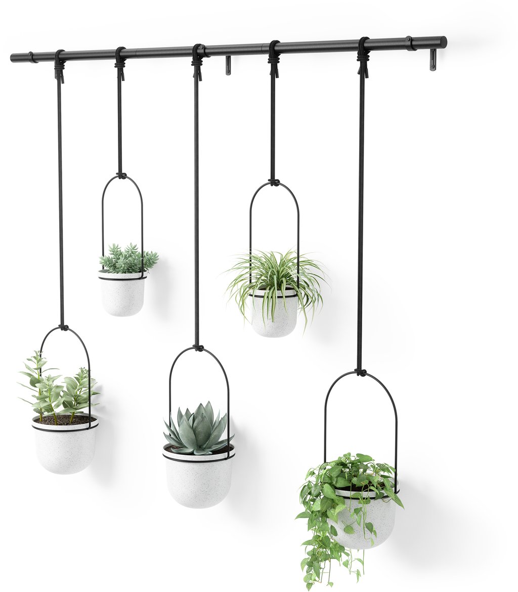 Umbra Triflora 5 kpl roikkuva kukkateline valkoinen/musta