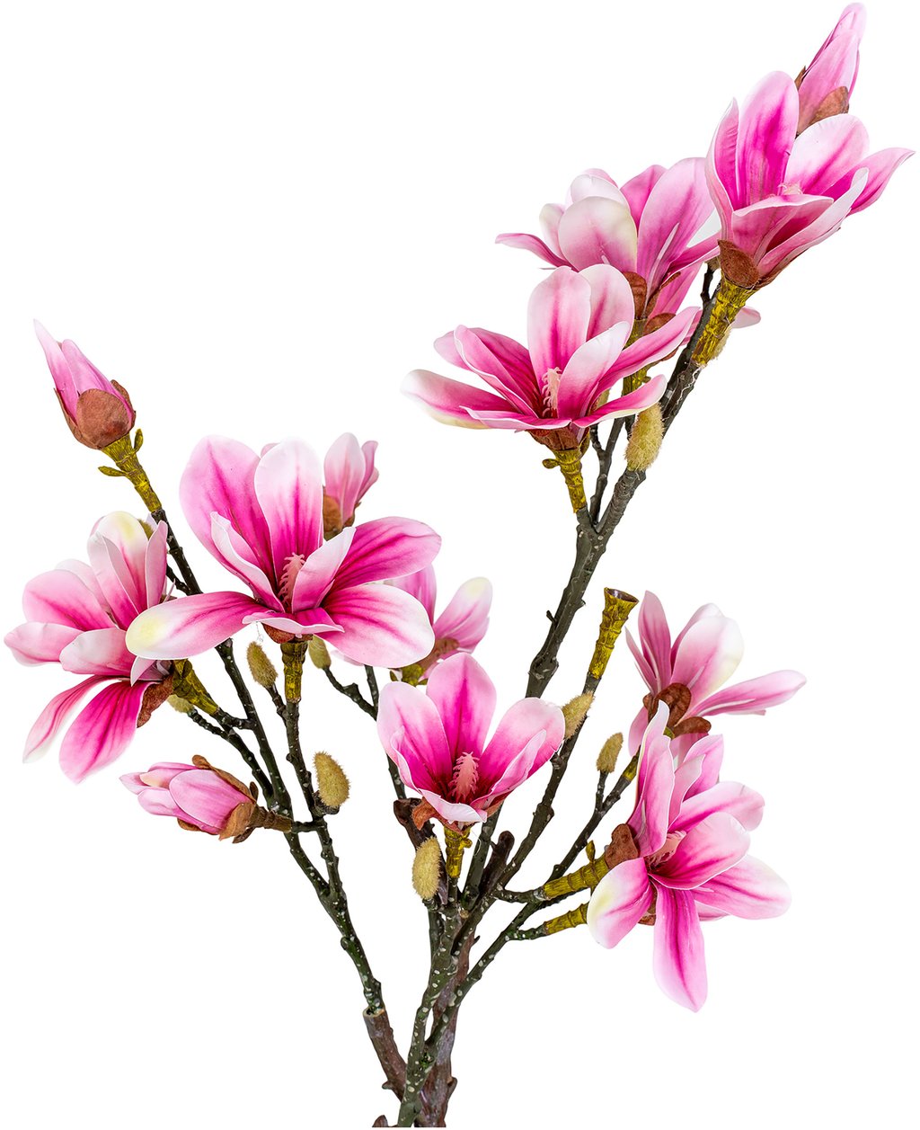 House Nordic magnoliapuu, tekokasvi, roosa, 75 cm