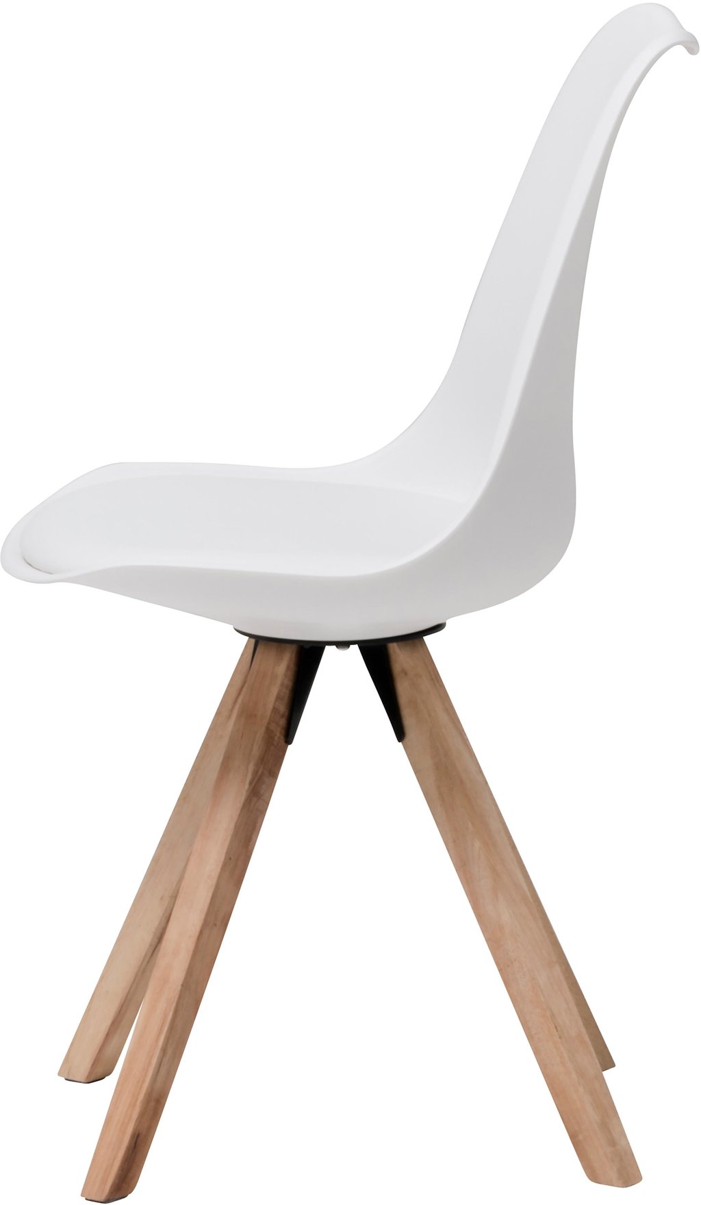 Concept Oak