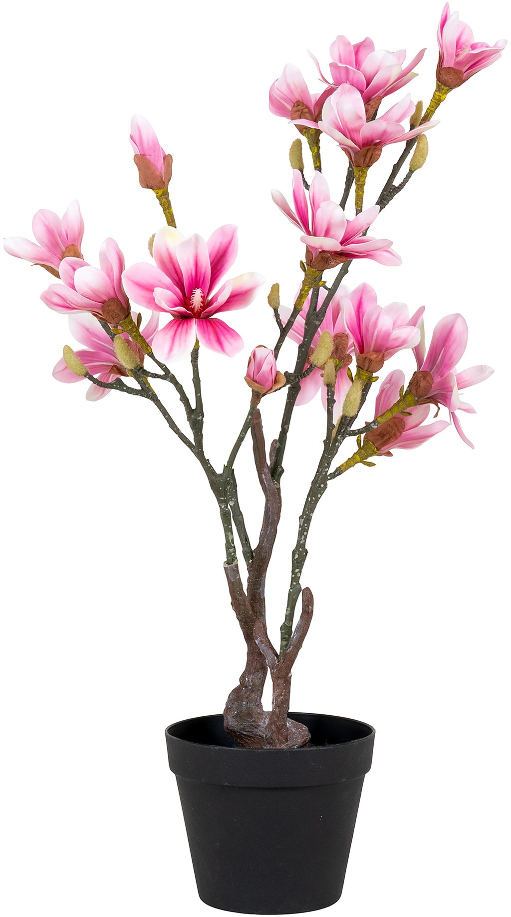 House Nordic magnoliapuu, tekokasvi, roosa, 75 cm