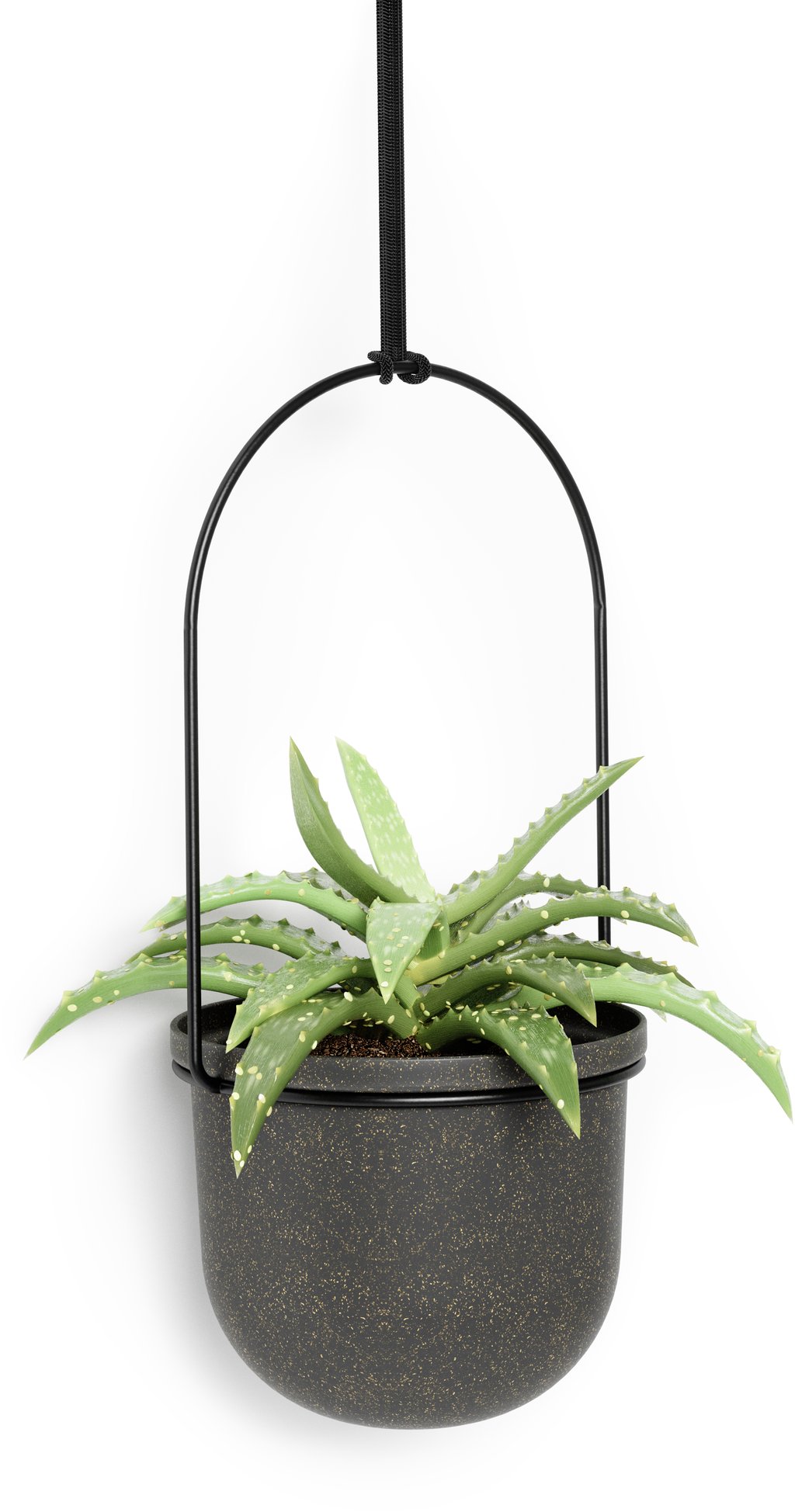 Umbra Triflora 5 kpl roikkuva kukkateline musta