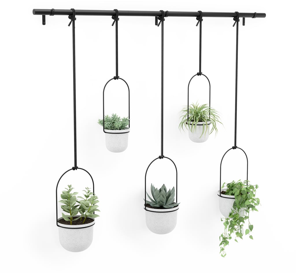 Umbra Triflora 5 kpl roikkuva kukkateline valkoinen/musta