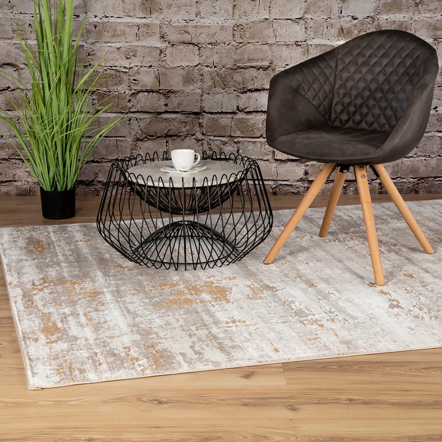 Pierre Cardin Paris matto 160x230 beige
