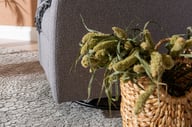 Pikkukuva: Fox recliner tuoli, harmaa