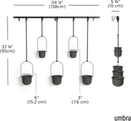 Pikkukuva: Umbra Triflora 5 kpl roikkuva kukkateline musta