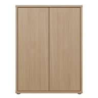 Pikkukuva: Kajo kaappi 2-ovinen elegancia tammi