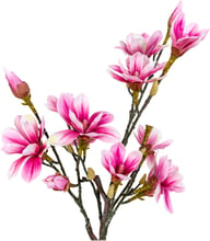 Pikkukuva: House Nordic magnoliapuu, tekokasvi, roosa, 75 cm
