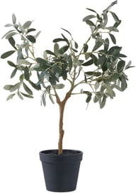 Pikkukuva: House Nordic oliivipuu 60cm (tekokasvi)