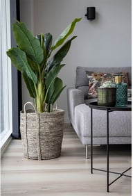 Pikkukuva: House Nordic Udine kori