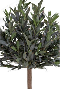 Pikkukuva: House Nordic oliivipuu 120cm (tekokasvi)