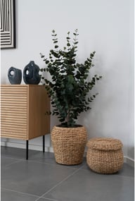 Pikkukuva: House Nordic eukalyptuspuu, tekokasvi, vihreä, 120 cm