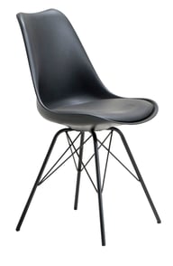 Saana & Concept Black