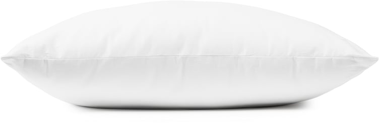 Familon Cool tyyny 50x60 500g