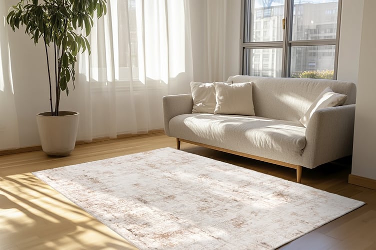 Pierre Cardin Lyon matto 160x230 taupe