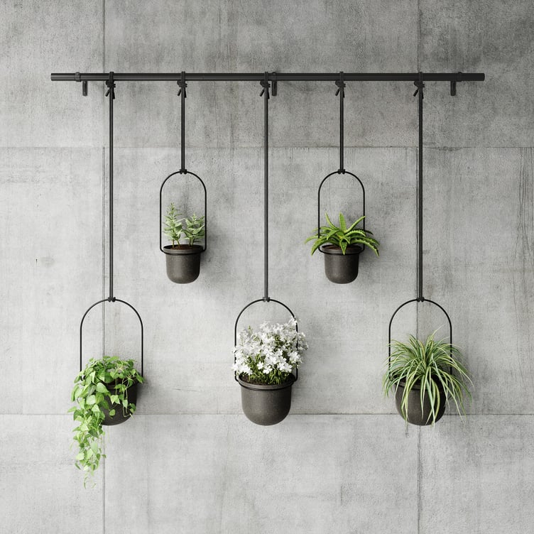 Umbra Triflora 5 kpl roikkuva kukkateline musta