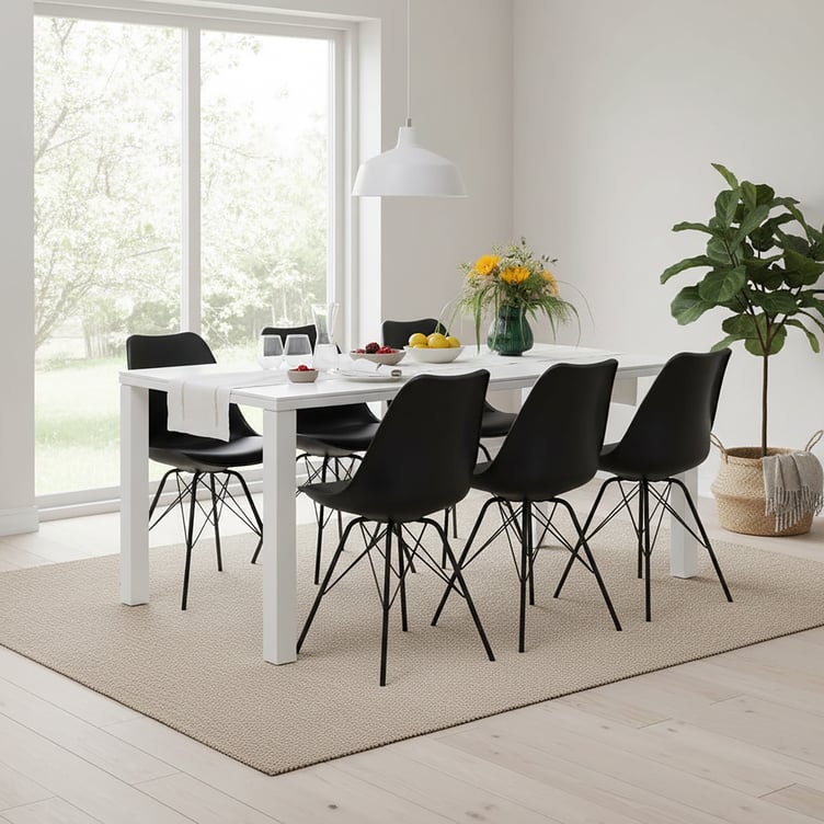 Nova & Concept Black ruokaryhmä (1+6)