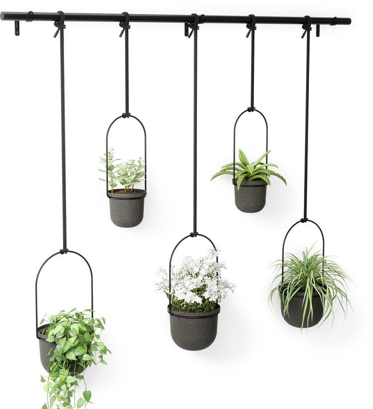 Umbra Triflora 5 kpl roikkuva kukkateline musta